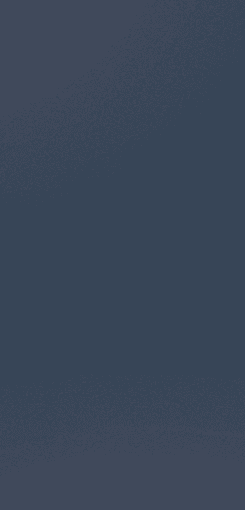 rapid application banner img